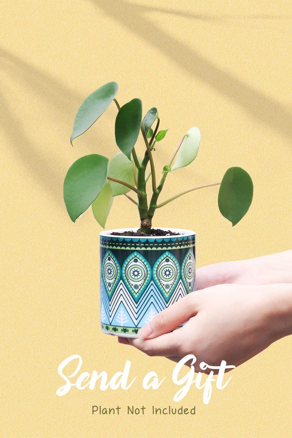 Arts Bohem Tarzı Mandala Kaktüs ve Sukulent Saksı (7) resmi