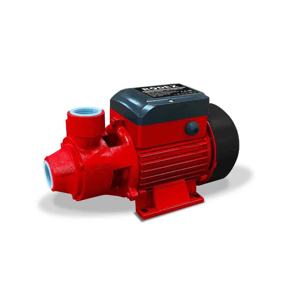 Rodex Su Pompası 750W Rdx874 resmi