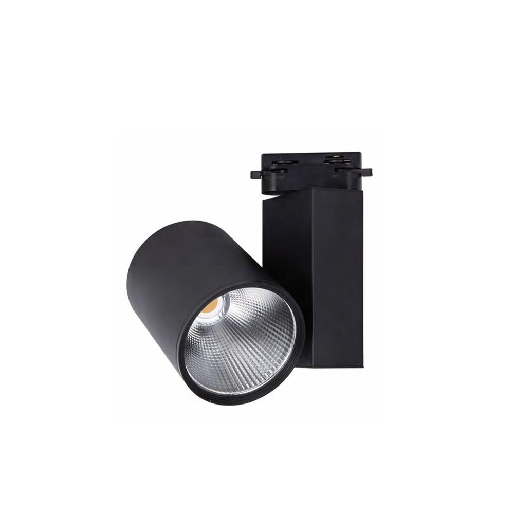 Forlife Ray Spot Armatür Siyah Kasa 30W Fl-2271 S resmi