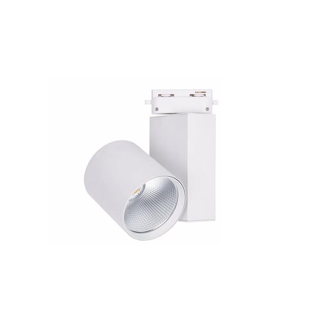 Forlife Ray Spot Armatür Beyaz Kasa 30W Fl-2272 B resmi