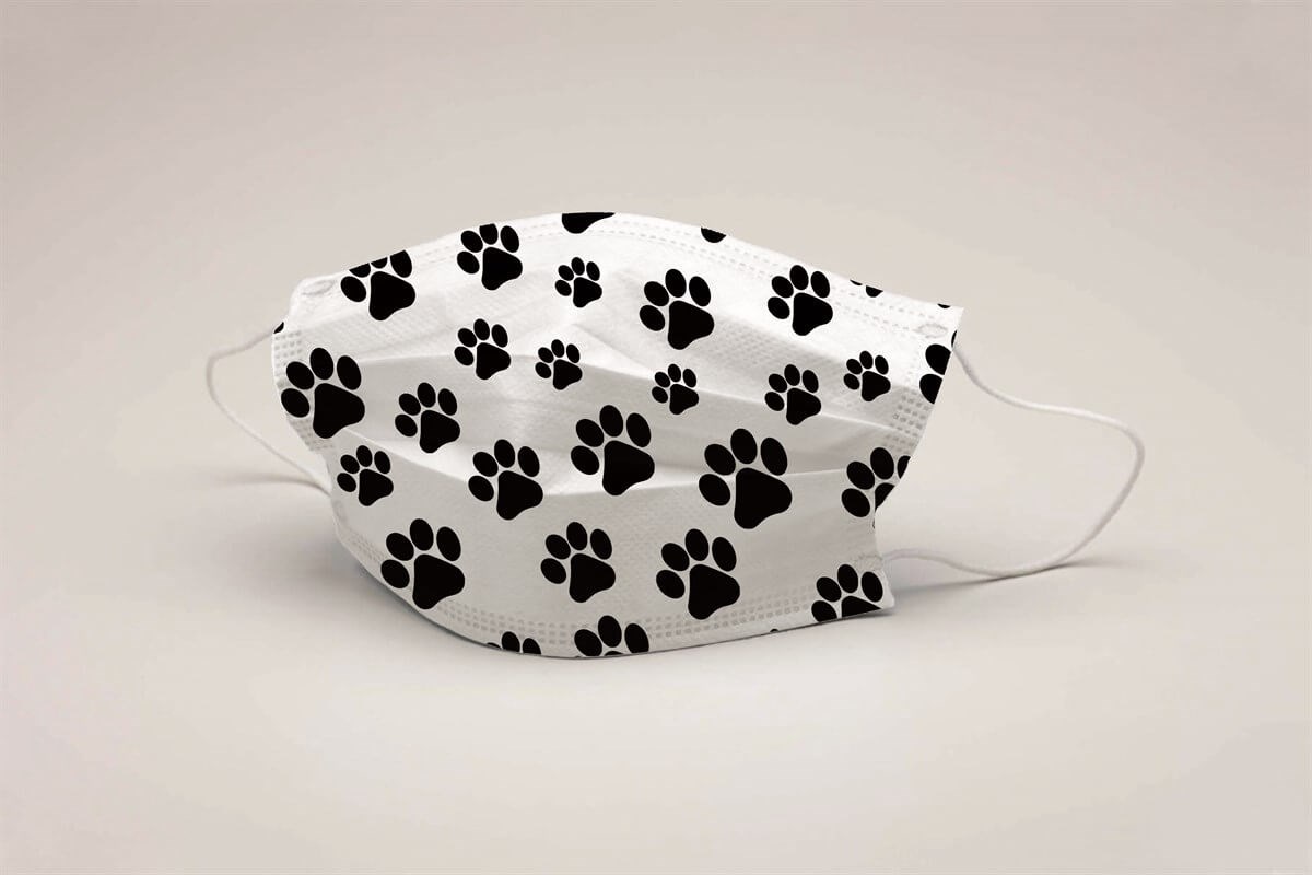 Mode Çocuk Full Ultrasonic Telli Maske 30093 (5'li Paket) resmi