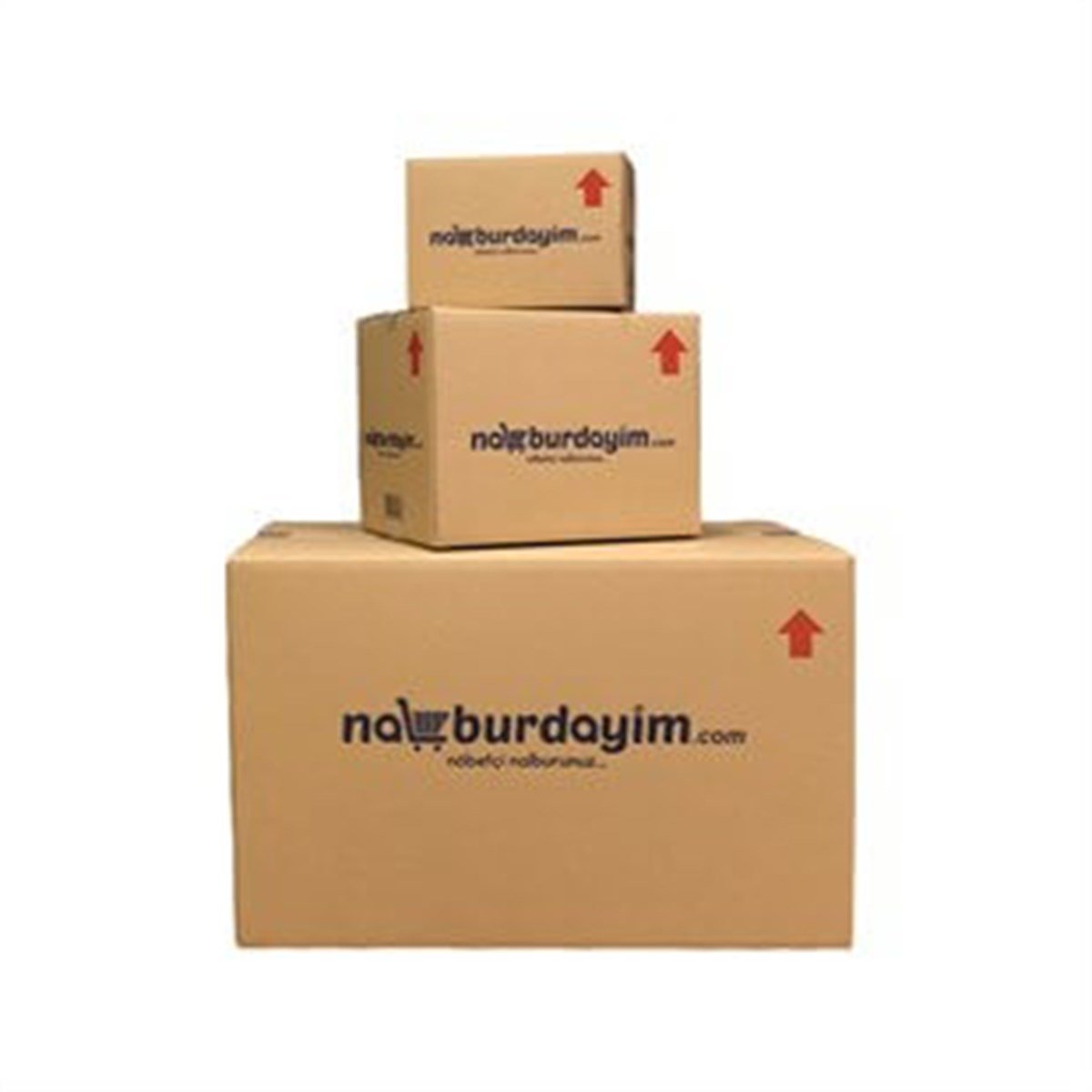 Taşıma Kolisi 30x20x20 Cm resmi